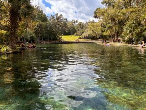 Wekiwa Springs