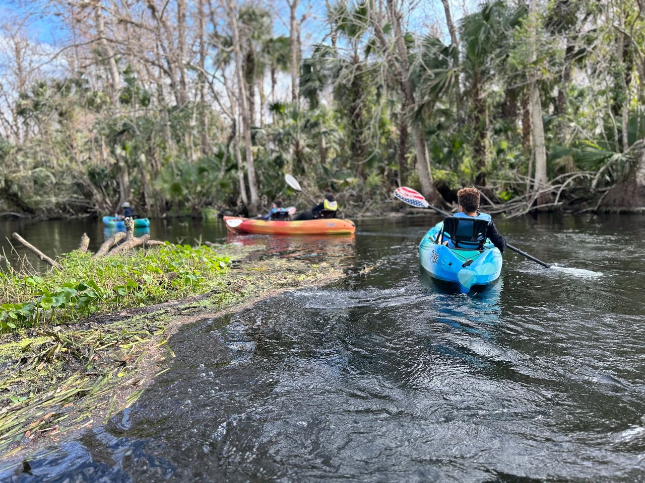 Wekiwa Springs Summer Kayaking