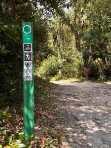 Hiking in Winter at Wekiwa Springs