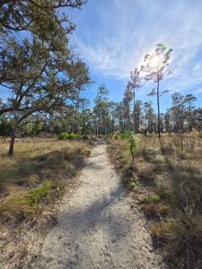 Winter in Wekiwa Springs