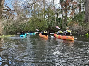 Kayaking in Apopka, Florida at Wekiwa Springs