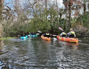 Wekiwa Springs Paddle Trip Near Orlando