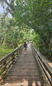 Things to do in Apopka