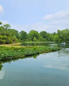 Wekiwa Springs near Orlando