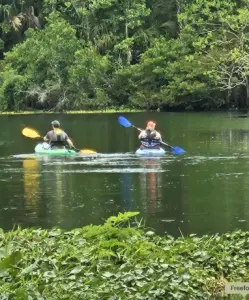 kayaking Wekiwa River