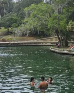 natural springs Apopka FL