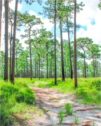 Earth Day events Orlando