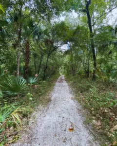 Wekiwa Springs guided tours