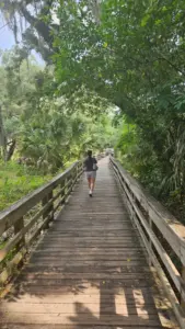 hiking Wekiwa Springs State Park Apopka