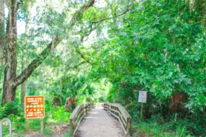things to do near Orlando nature