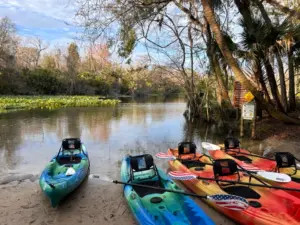 Kayaking Wekiva River Orlando