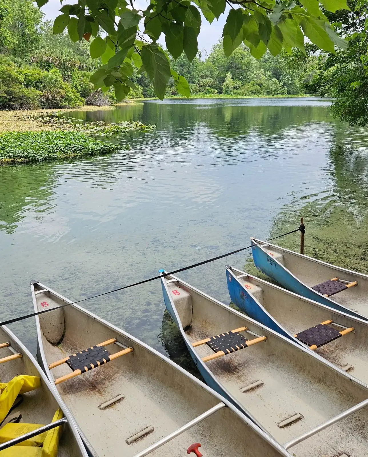 Overnight stay Wekiwa Springs